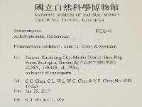 登錄號:F0032449藏品圖，第2張
