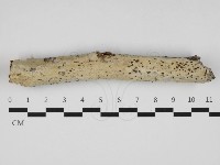 登錄號:F0032450藏品圖，第1張