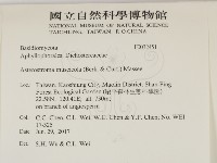 登錄號:F0032451藏品圖，第2張