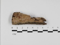 登錄號:F0032451藏品圖，第1張