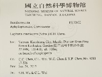 登錄號:F0032452藏品圖，第2張