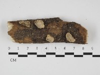 登錄號:F0032452藏品圖，第1張