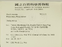 登錄號:F0032453藏品圖，第2張