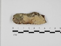 登錄號:F0032454藏品圖，第1張