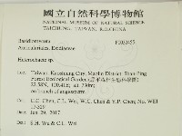 刺皮菌屬藏品圖，第2張