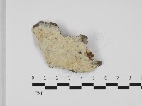 登錄號:F0032460藏品圖，第1張