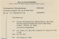 登錄號:F0032460藏品圖，第3張