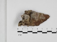 登錄號:F0032461藏品圖，第1張