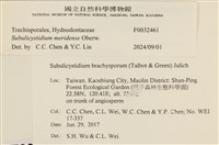登錄號:F0032461藏品圖，第3張