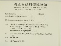登錄號:F0032463藏品圖，第2張