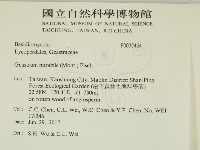 登錄號:F0032464藏品圖，第2張