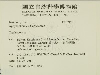 登錄號:F0032465藏品圖，第2張