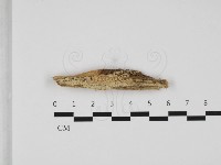 登錄號:F0032465藏品圖，第1張