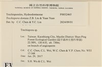 登錄號:F0032465藏品圖，第3張