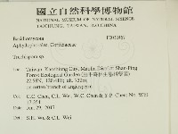 登錄號:F0032467藏品圖，第2張