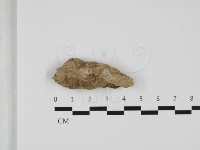 登錄號:F0032467藏品圖，第1張