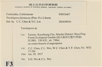 登錄號:F0032467藏品圖，第3張