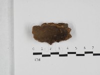 登錄號:F0032468藏品圖，第1張