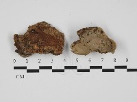 登錄號:F0032469藏品圖，第1張