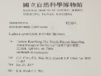 登錄號:F0032471藏品圖，第2張
