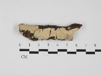 登錄號:F0032471藏品圖，第1張