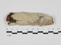 登錄號:F0032472藏品圖，第1張