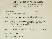 登錄號:F0032474藏品圖，第2張