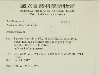 刺皮菌屬藏品圖，第2張