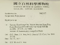 硬孔菌屬藏品圖，第2張