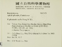 登錄號:F0032478藏品圖，第2張