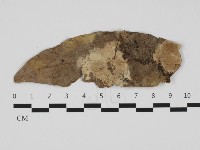 登錄號:F0032478藏品圖，第1張