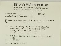 登錄號:F0032480藏品圖，第2張