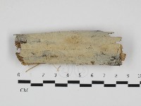 登錄號:F0032480藏品圖，第1張
