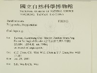 登錄號:F0032483藏品圖，第2張