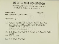 絲齒菌屬藏品圖，第2張