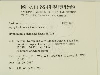 登錄號:F0032486藏品圖，第2張