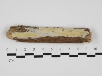 登錄號:F0032486藏品圖，第1張