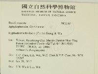 登錄號:F0032487藏品圖，第2張