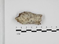 登錄號:F0032489藏品圖，第1張
