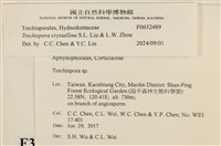 登錄號:F0032489藏品圖，第3張