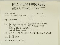登錄號:F0032490藏品圖，第2張