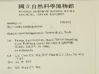 登錄號:F0032492藏品圖，第2張