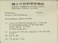 登錄號:F0032493藏品圖，第2張