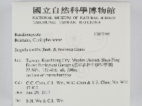 登錄號:F0032494藏品圖，第2張