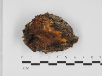 登錄號:F0032494藏品圖，第1張