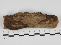 登錄號:F0032496藏品圖，第1張