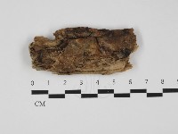 登錄號:F0032498藏品圖，第1張