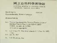 刺革菌屬藏品圖，第2張