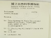 韌革菌屬藏品圖，第2張