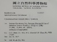 登錄號:F0032507藏品圖，第2張